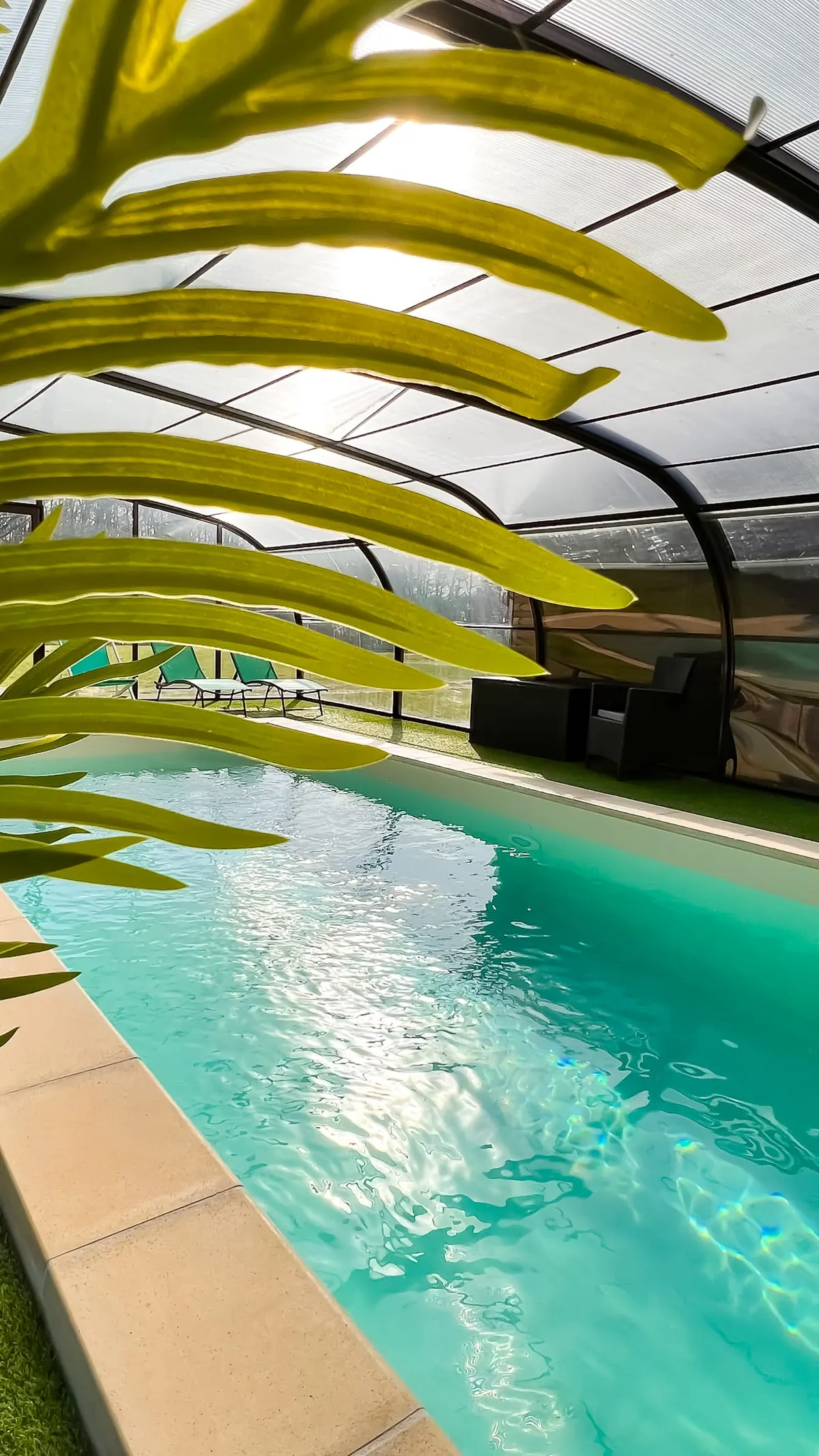 Piscine, photo 6